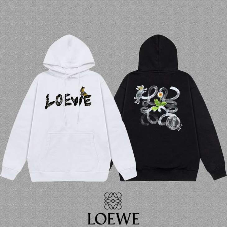 Picture of Loewe Hoodies _SKULoeweS-2XLxetr804256